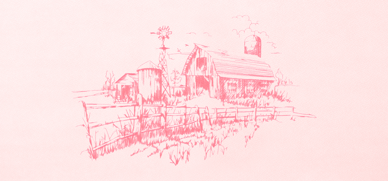 P 563 Barn Pink Faux